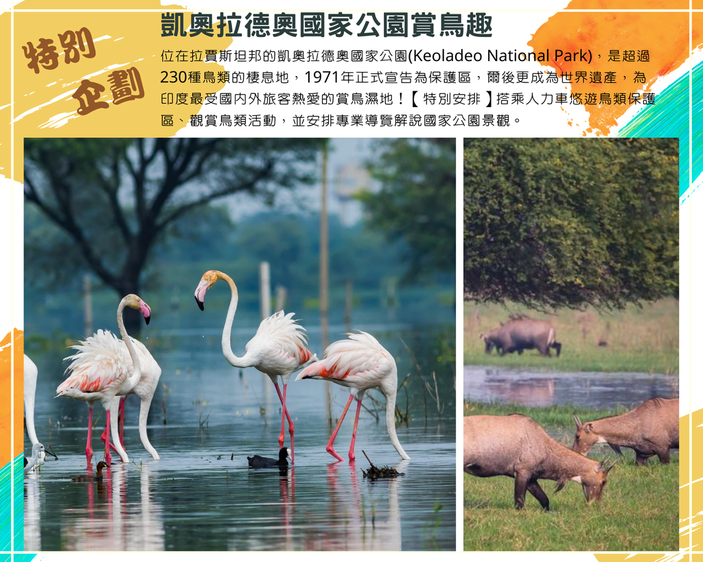 行程特色圖片