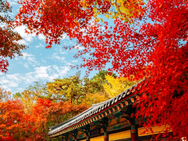 行程特色圖片
