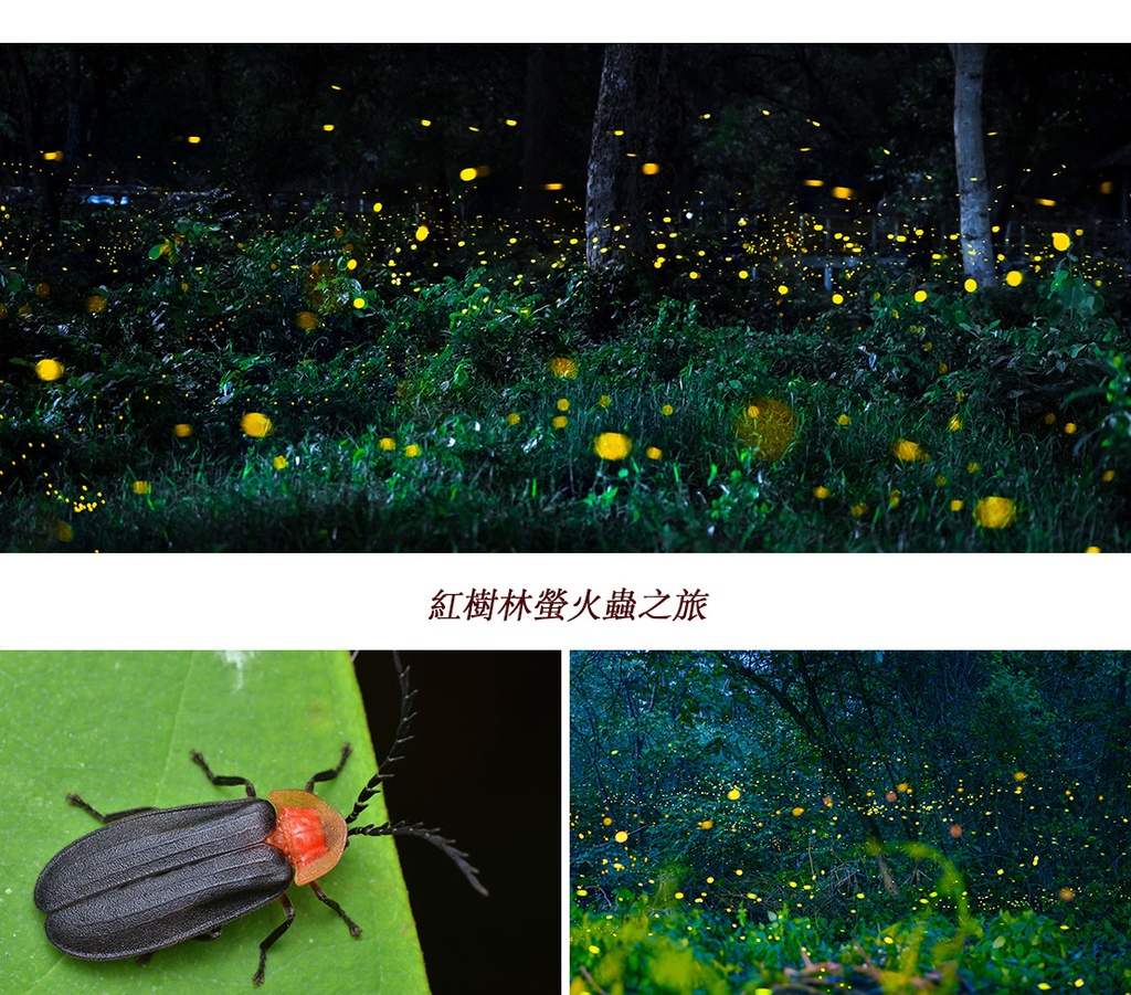 行程特色圖片