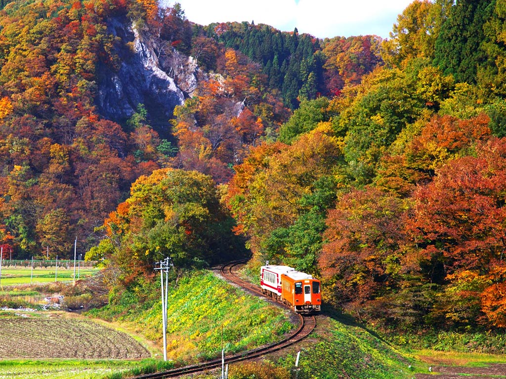 秋田內陸縱貫線只有單節與雙節的小火車,每天陪伴旅人穿梭田野楓景。
