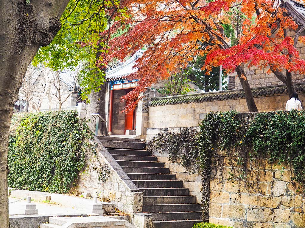 秋末冬初是太清宮最佳賞楓季,紅楓與金黃銀杏交織動人風景,吸引旅人探訪。