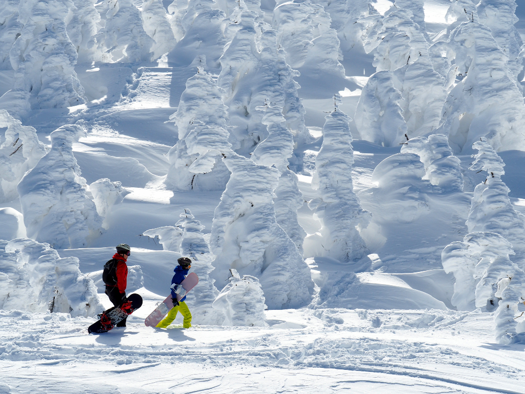 【世界】冬季旅人必蒐雪景:樹冰、合掌村、冰雪節⋯⋯你還少哪一景? 【世界】冬季旅人必蒐雪景:樹冰、合掌村、冰雪節⋯⋯你還少哪一景?