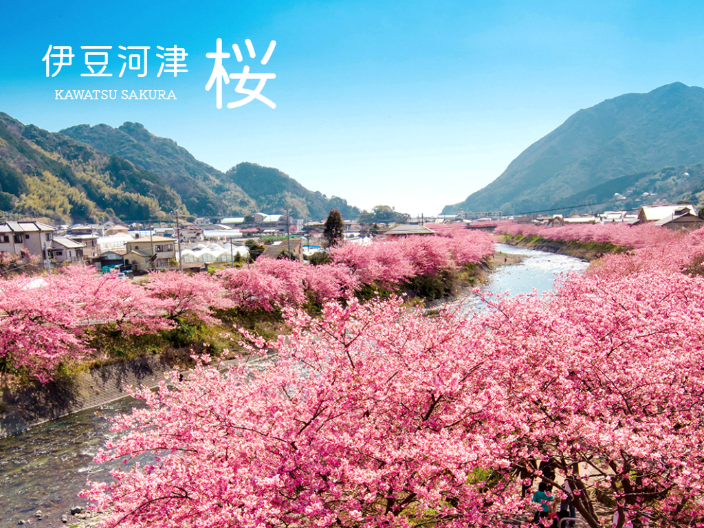 行程特色圖片