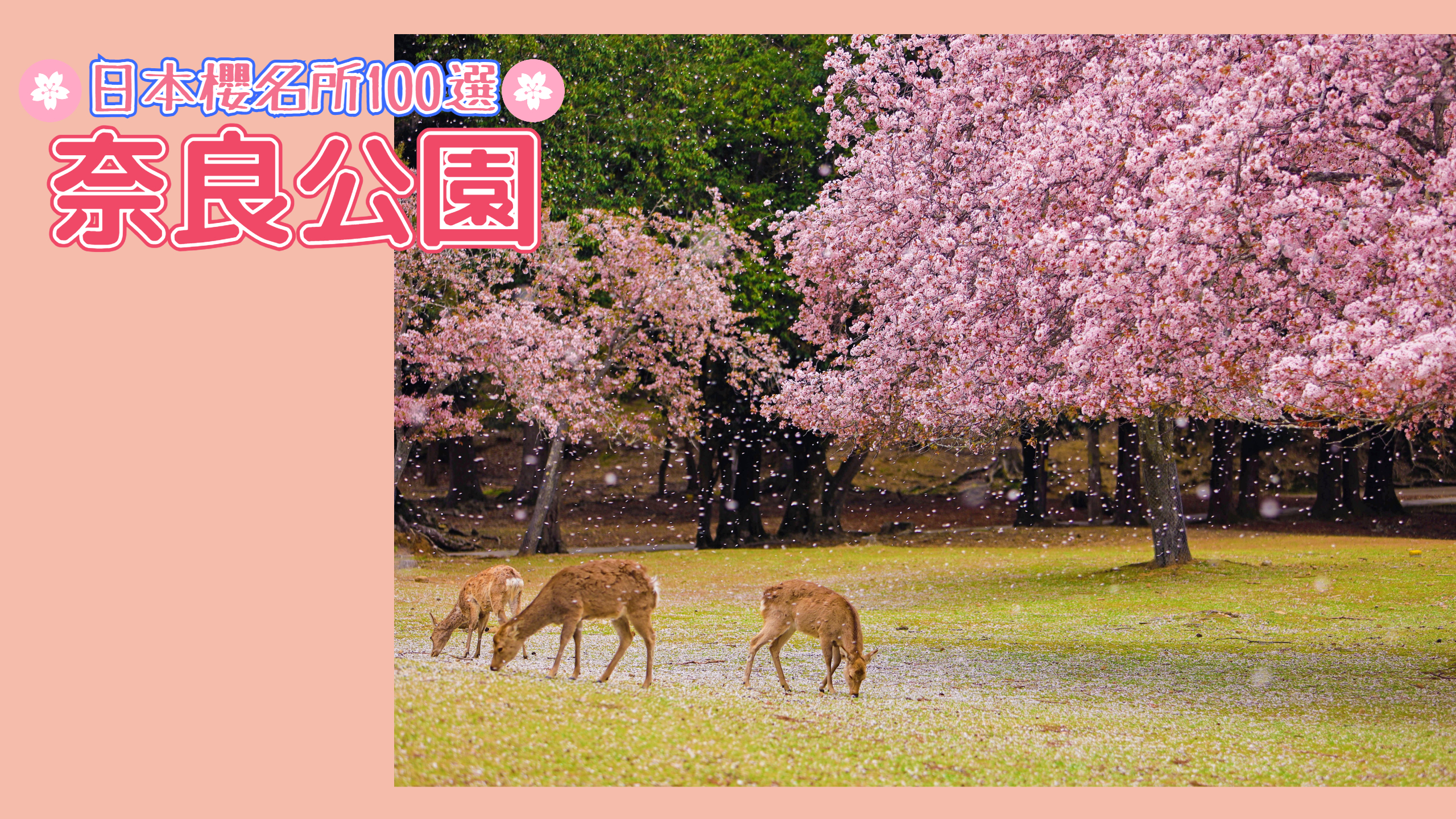 行程特色圖片